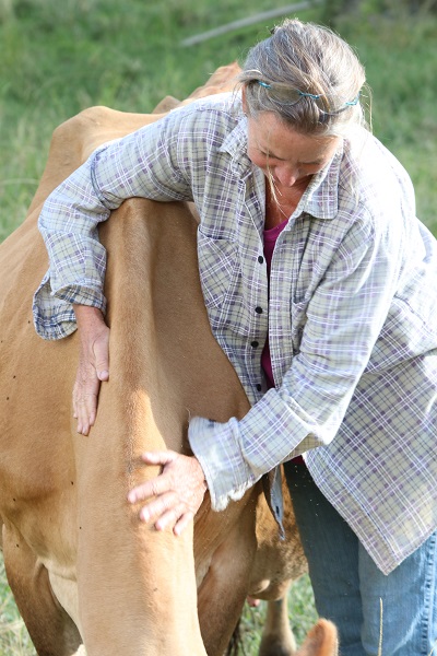 Karin Sinclair loves cows Carson Valley Meats