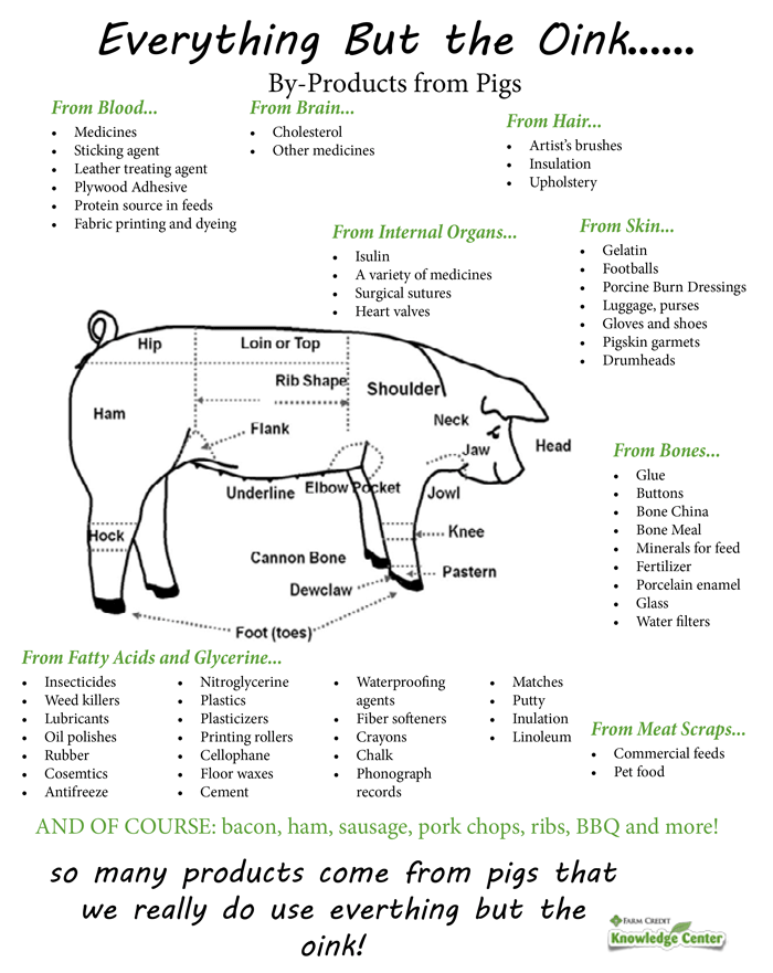 educational flyer about everyday items derived from pork by-products