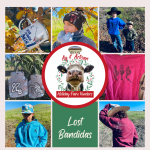 Lost Bandidas Western Wear