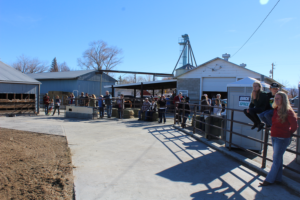 Crowds gather to watch roping demonstrations at the Ag & Artisan Holiday Faire